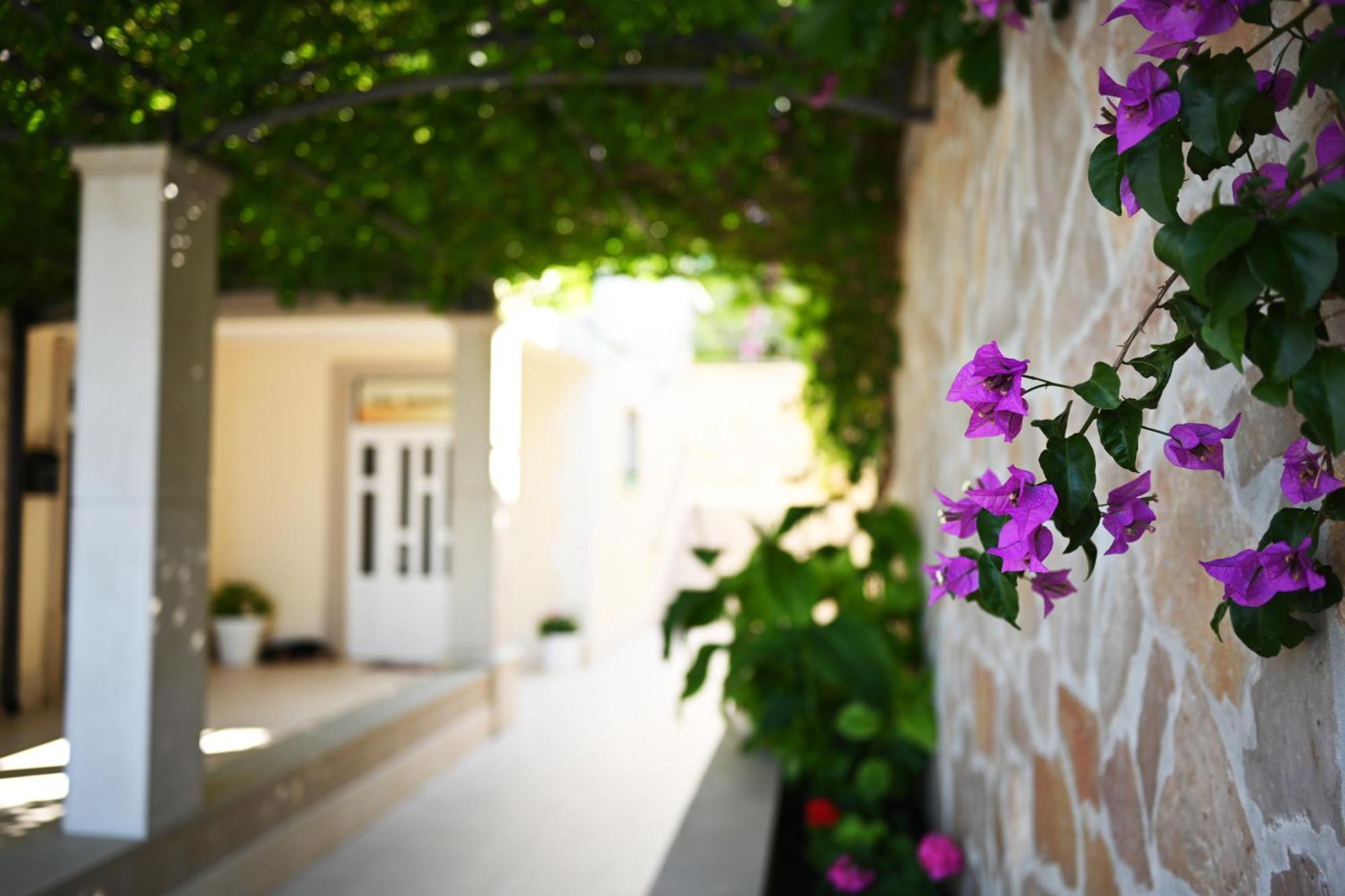 Apartman Hvar Malisko *