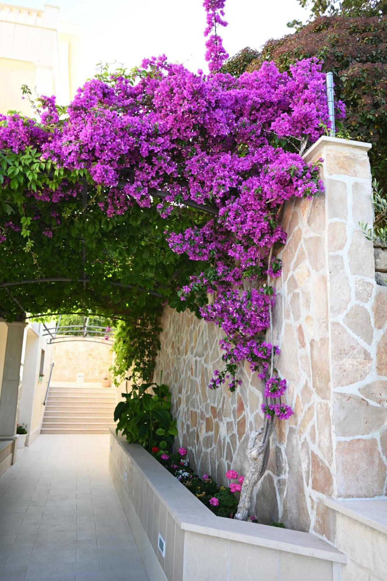 Apartman Hvar Malisko Hvar Town